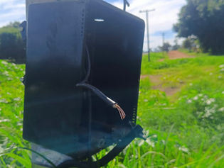 Homem é preso em flagrante após furtar cabos e equipamentos de radar do DER em Bastos