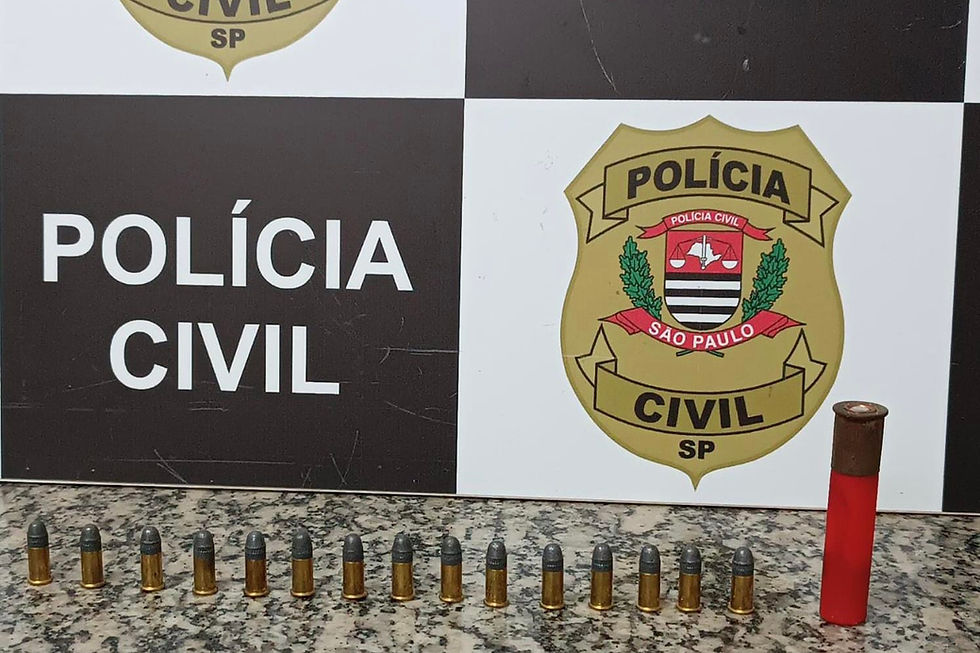 Material foi localizado em um galpão após informações indicarem a presença de munições no interior do imóvel