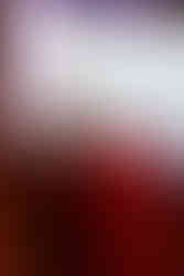 Présentation de notre REX sur l'implémentation de S/4 HANA chez un client lors de l'USF 2025