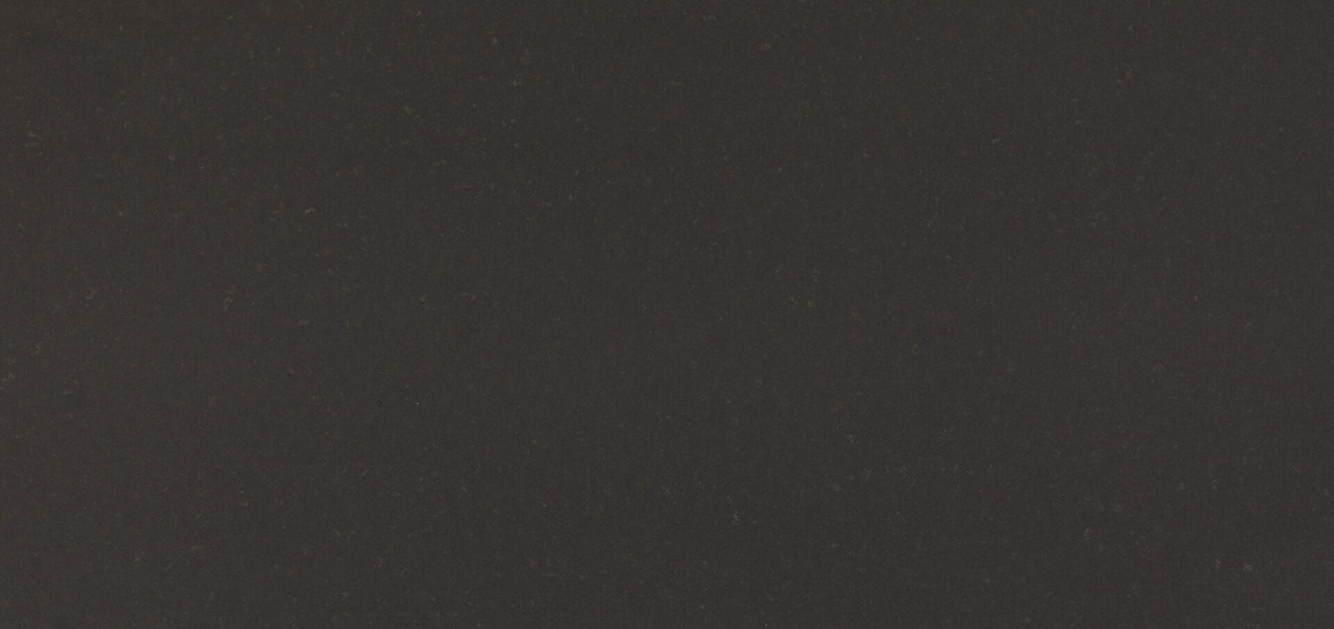 Caesarstone 4120 raven