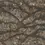 Thumbnail: Cambria harlech