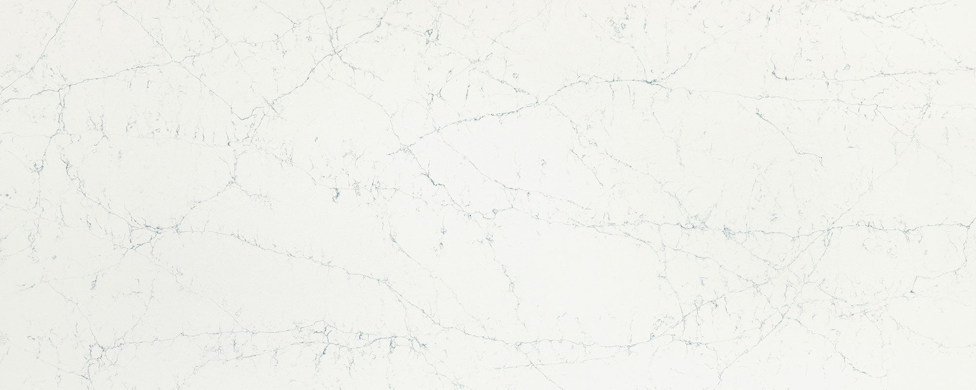 Compac unique venatino