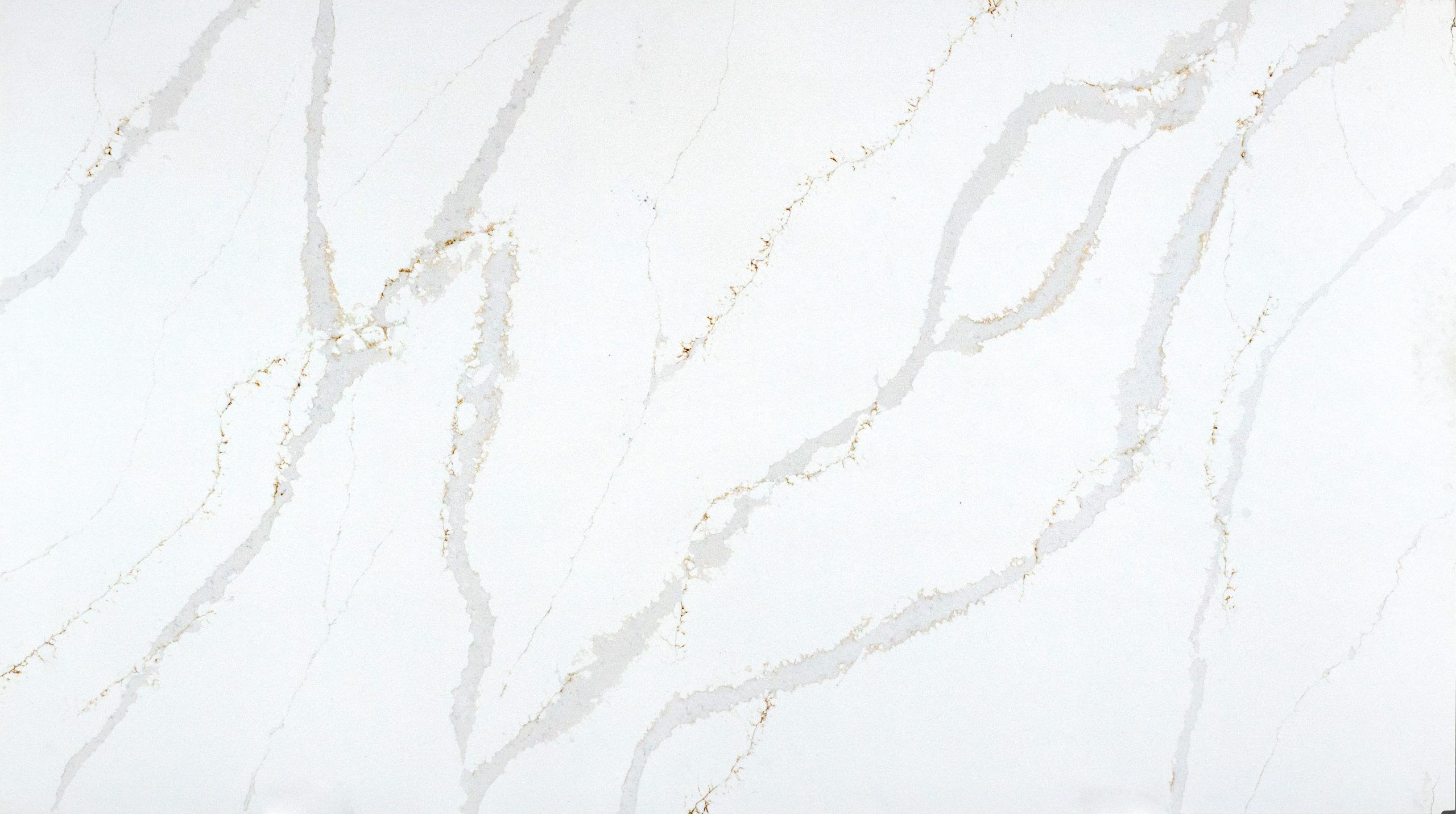 Quantum calacatta imperiale