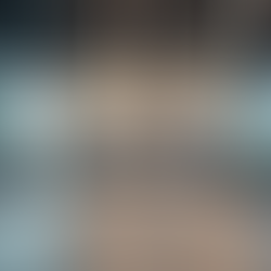 Professional Services to Elevate Your Projects Today