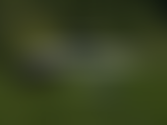 9-Loch-Turnier (Golfwoche)