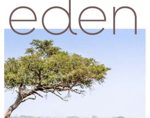Exposition de photographies