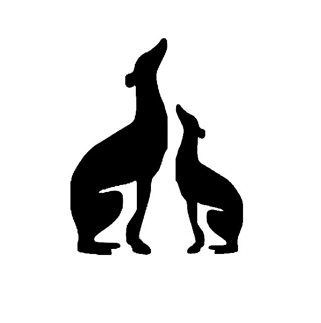 transparent for albums 3.png