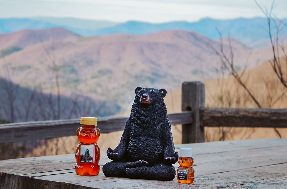 Thumbnail: 50mg Bear Bottle Combo