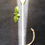 Miniature : Spatule Mia