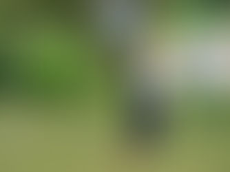 Unsung Hero Nominees