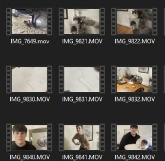 video collection.JPG