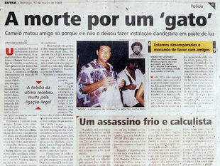 A morte por um gato