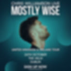 Chris Williamson Live - Mostly Wise