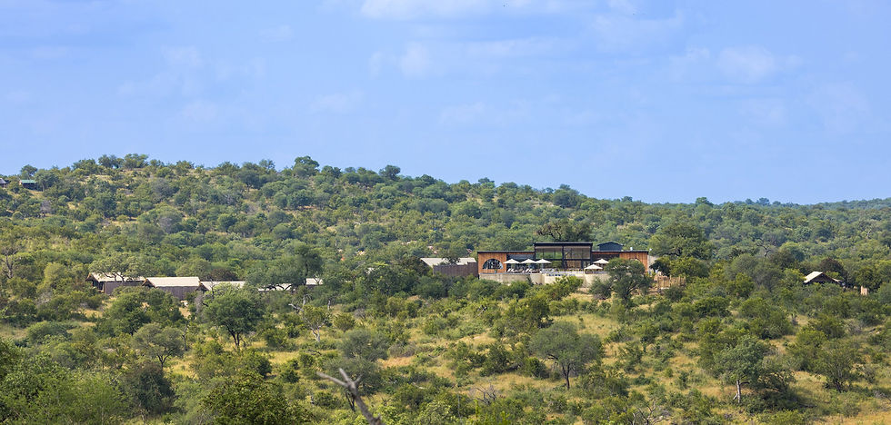 GREATER KRUGER 