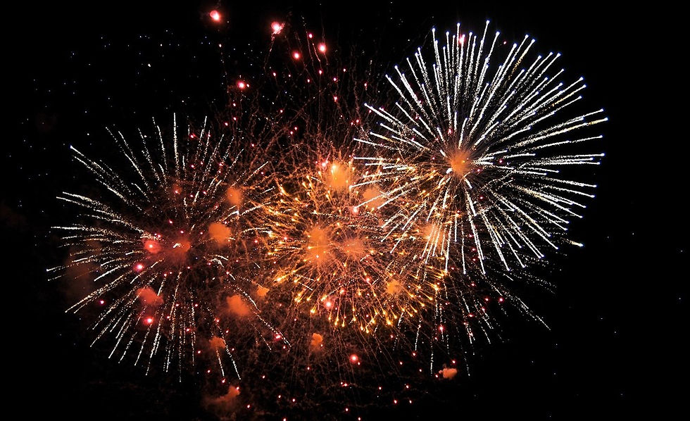 NEUJAHRSKONZERT