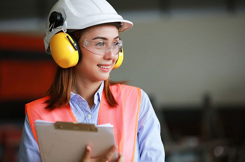 Health and safety audit