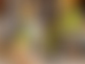 Managing Workplace Accidents: An Employer's Essential Guide