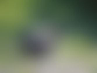 SNUVM  [April-2022]
