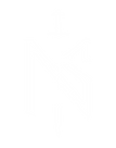 NS text logo White.png