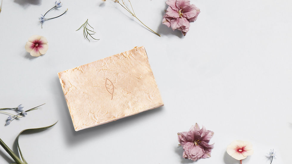 Holistic lifestyle elements representing the key pillars of lifestyle changes for endometriosis - and natural living