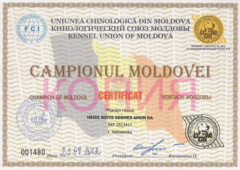 chMold-Ger