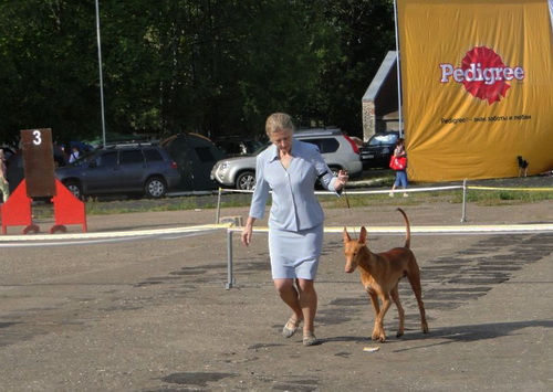 19-08-12-germ1