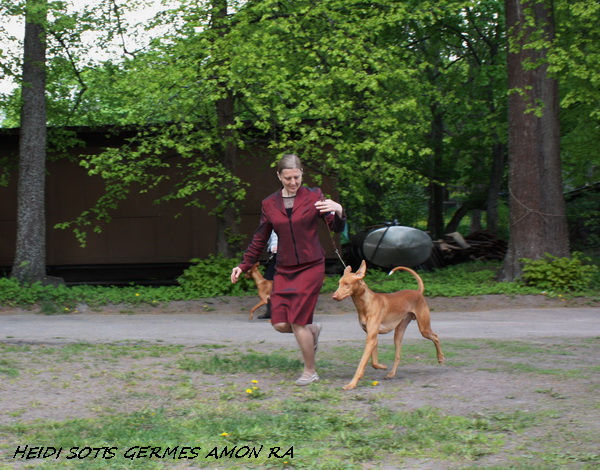 27-05-12-10-germ