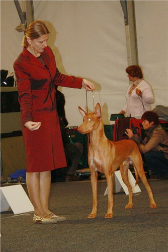 Germes06