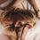 Thumbnail: Wake Up Well