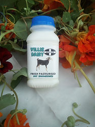 Cornish Kefir