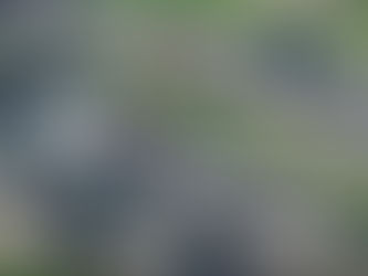 Fire and Ambulance are on scene of accident that occurred in Southlake, TX on SH-114.