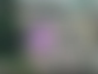 Fire and Ambulance tend to accident that occurred on US-75 near Spring Creek South - Plano, TX.