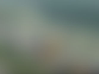 Multi-Vehicle Accident leaves one car in ditch in Arlington, TX