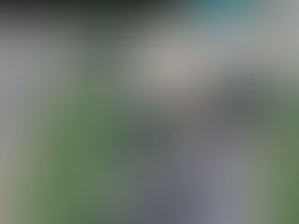 IH-45 closed down due to accident which caused Big Rig to catch fire - Ferris, TX.