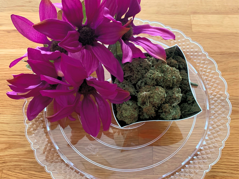 Cannabis Crash Course 