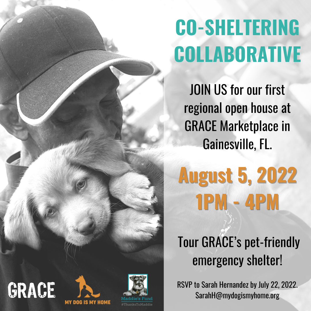 August 5th - First Co-Sheltering Collaborative Open House! content media