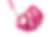 RcAdventureKittyHarnessRaspberryLg