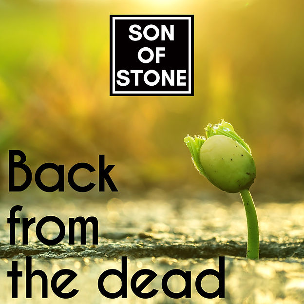back from the dead - album cover.jpg