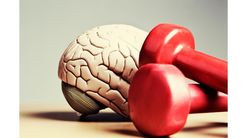 Il Se Fait Dévorer Le Cerveau Bouger pour améliorer notre cerveau!