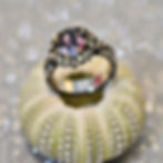 Treasure ring