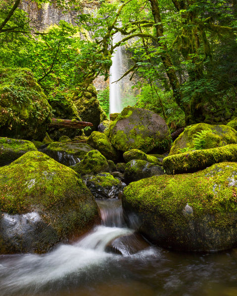 A waterfall flows at the end of a tunnel of trees and moss-covered rocks.