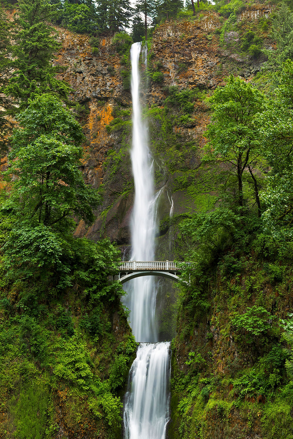 Oregon's Multnomah Falls cascades in spring