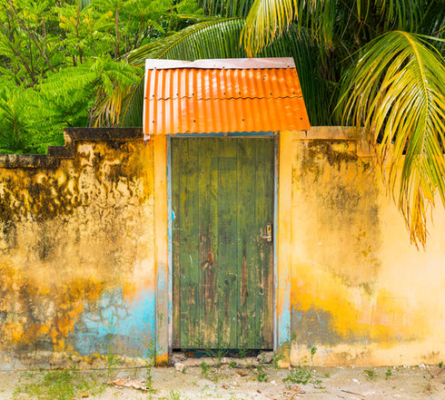 A green door on a wall in front of a tropical forest.
