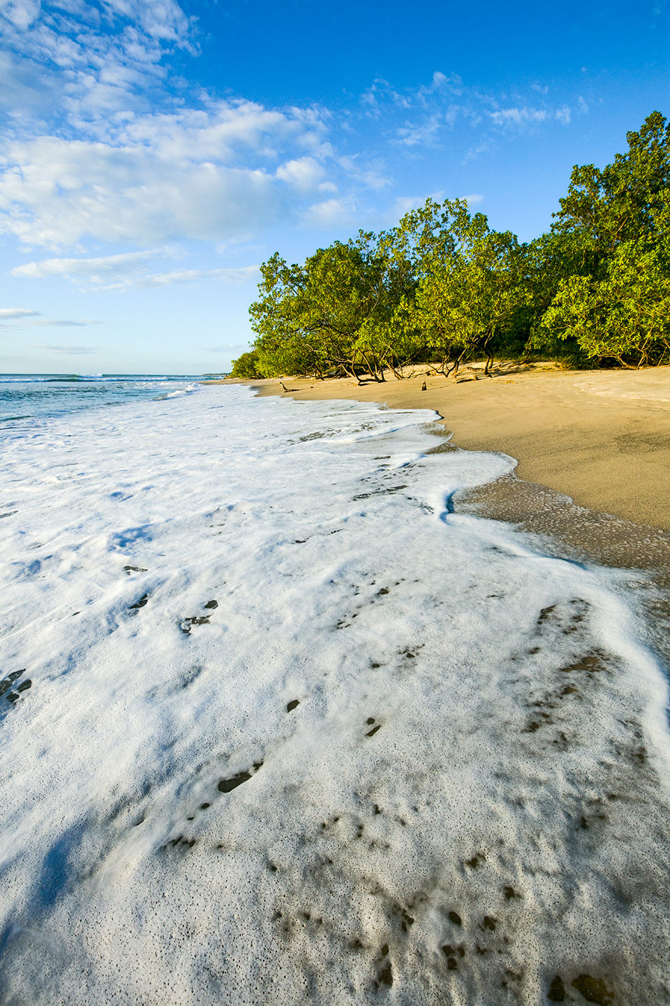 A foamy wave rushes the shore on a sunny day in Costa Rica.