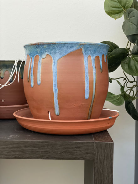 Self-Watering Pots