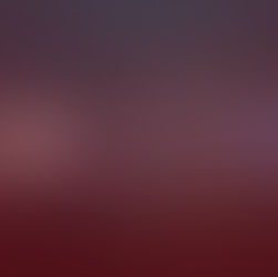 Payout History MONTH 02/2021