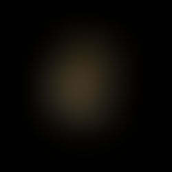 Payout History MONTH 03/2023