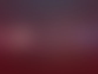 Payout History MONTH 11/2020