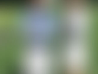 コースレッスン2026/8/4