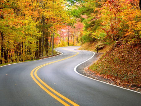 Embracing Inner Peace: Navigating Stress and Conflict for Aspiring Leaders